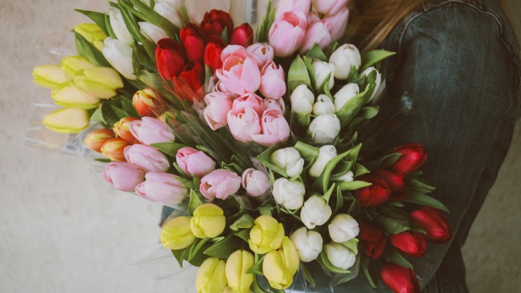 15 Beautiful Types of Tulips